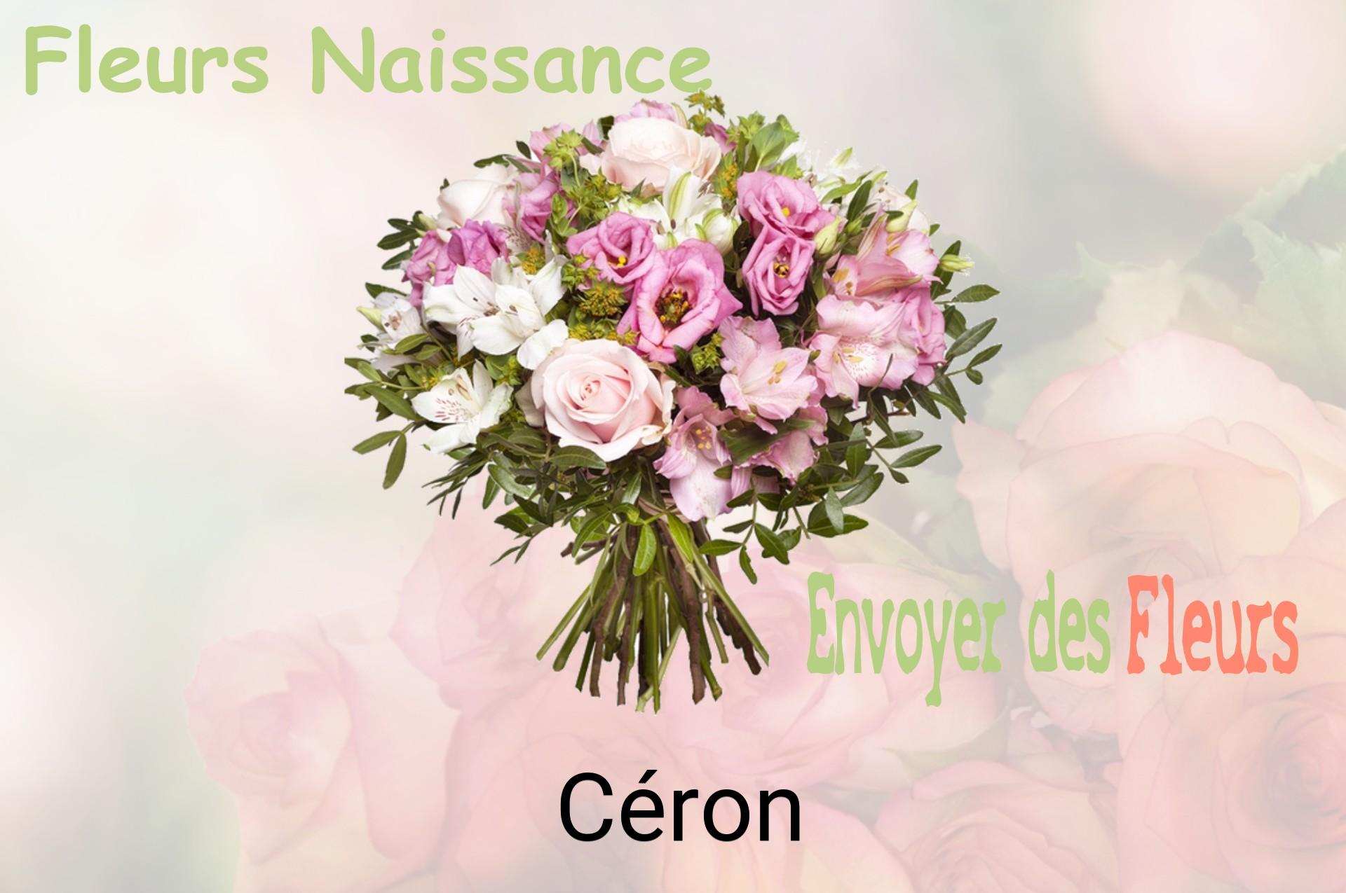 Bouquet de fleurs de naissance livré à Céron
