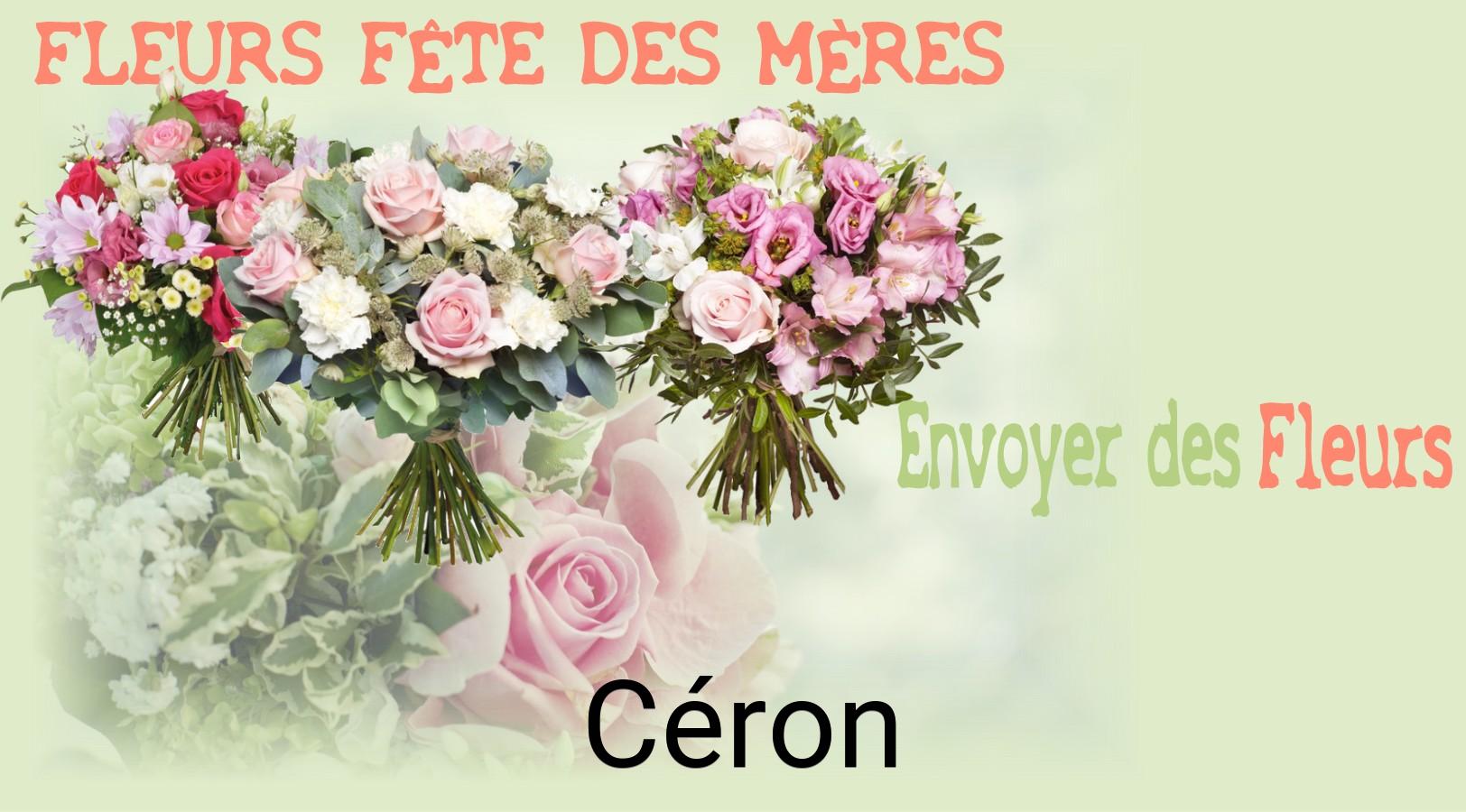 Bouquet de Fête des Mères livré à Céron